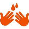 hands